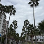 マリブファーム  - 