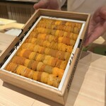 梅田 すし継 - 美しいウニ