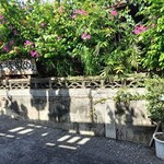 すーまぬめぇ - 