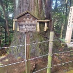 手打らーめん HIRO - 