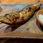 居酒屋 ちょーちょ - とろ鰯塩焼。