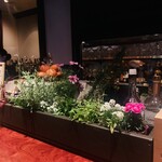 BAROSSA cocktailier - カウンターの花壇。マスターがピンセットで取ってカクテルにデコします