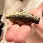 2nd EDITION TERUZUSHI - 