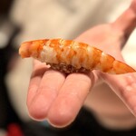 2nd EDITION TERUZUSHI - 