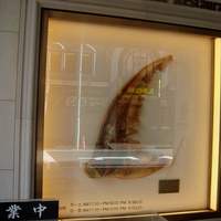 筑紫樓 銀座店 - 