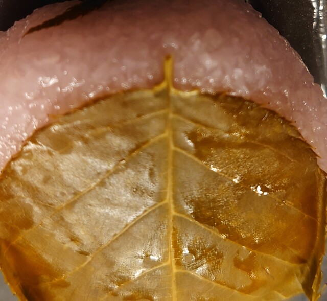 Sengetsu Kaho photo 5