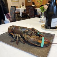 ポンドールイノ - 