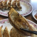 Gyoza no Osho Hamura Kosaku Sakaueten - As expected from the signature dish – neither exceptional nor disappointing.