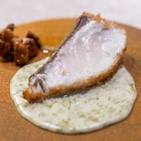 コングスト - 2025.7 メダイのフリット ピルピルソース トマトで和えた水菜 ジロール茸のエスカベッシュ