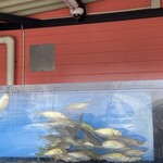 てんてん丸 伊予松前店 - 