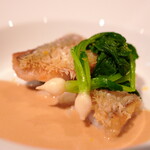 ラ メゾン フィニステール - 