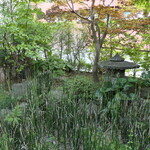 丸新 - （2025/9月）