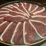 ファイヤーバード - 