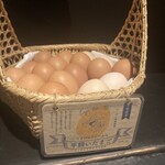 ファイヤーバード - 