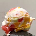 葛城茶房 フォレストカフェ - ジェラート ダブル コーン