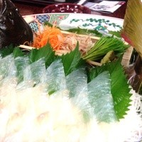稚加榮 本店 - 【お造り】様ヒラメの姿造りがドド～ン！！