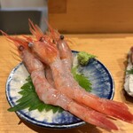 鮨 まぜき - 兵庫の甘エビ