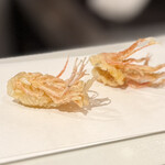 てんぷら 天翔 - 