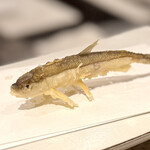 てんぷら 天翔 - 