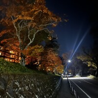 レークハウス - 