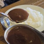 Hamburger Steak Senmon Ten IZUTSUYA - 一匙就足夠了。淋在飯上也很不錯。