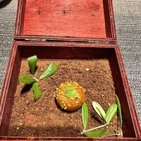 しまなみふれんち Murakami - 