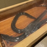 にょろ助 銀座 - 