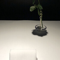 リストランテ･ヒロ  青山 - 