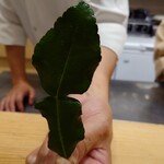 肉料理ふくなが - 瘤ミカンの葉