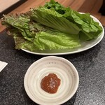 楽楽苑 - 【シャキッと新鮮！】チシャ！