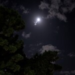 ハンバーグステーキ jumbo - お腹いっぱいになったので
      ちゃんと大濠公園２周（４キロ）
      歩いて帰りました