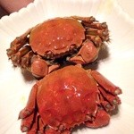 倶楽湾 - 2014 旬の上海蟹