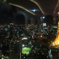 Hills House Dining 33 - 窓外の景色