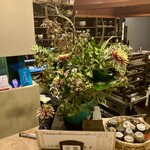 魚ト日本酒あたらよ - 