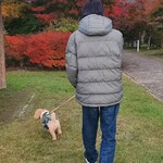 ハーブ庭園旅日記 富士河口湖庭園 園内ショップ - 紅葉もきれいでした