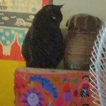 もんぺまるけ - 