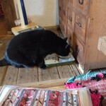 もんぺまるけ - 