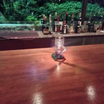 瀬里奈 - ラウンジのカウンター・その1です。