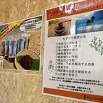 もずく麺屋 んつばた - 