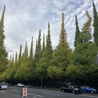 キハチ 青山本店 - 