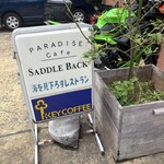 サドルバック - 