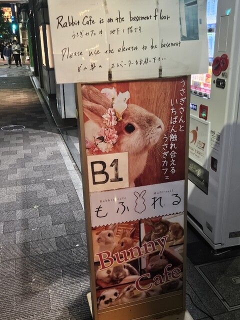 うさぎcafe もふれる - 末広町/その他 | 食べログ