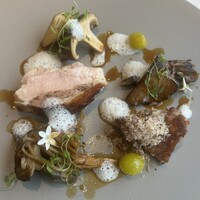 ジョンティ アッシュ - 