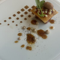 ジョンティ アッシュ - 