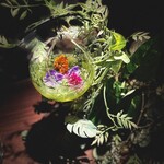 Mixology Station 舶来 Bar - 