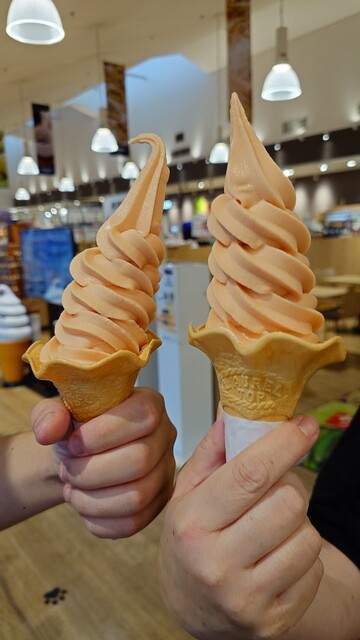 サンピュアキッチン＆カフェ 天童店 &ndash; おしゃれカフェで楽しむランチとスイーツ