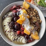 Bottle Palm Garden - 