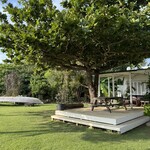 Bottle Palm Garden - 