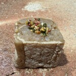 鮨ト酒肴 富かわ - 