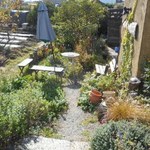 そば繁 - さりげない野山風の庭